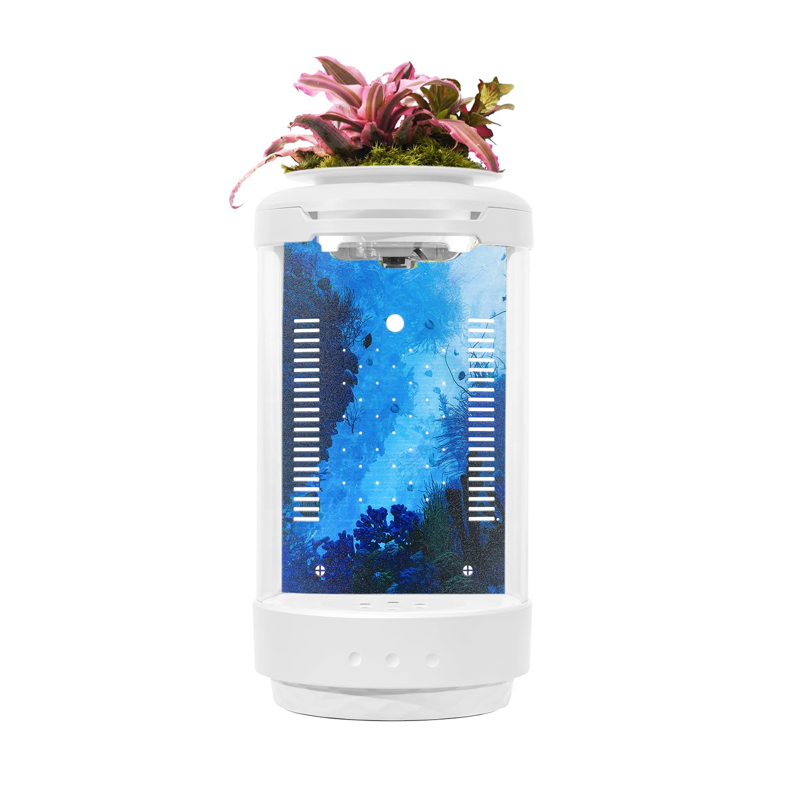 MRZMSZPET Small Fish Tank 1.2 Gallon Aquarium Starter Kit Desktop Mini Fish Bowl Small Betta Fish Tank with Plant Pot (Coral Reef)