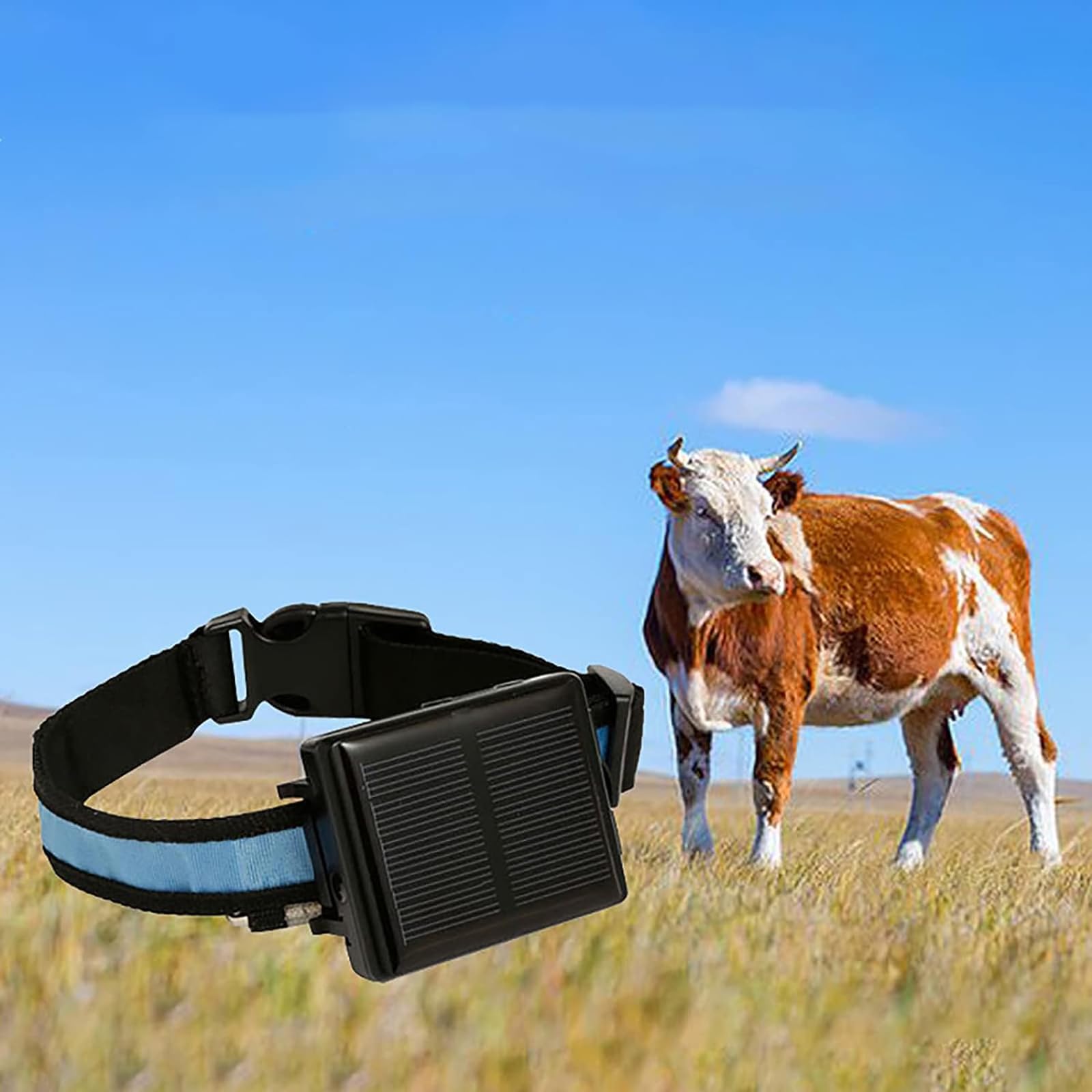 McbeAn Localizzatore GPS per Bovini, Localizzatore GPS per Animali Solari, Allarme Anticollisione/Riproduzione Traccia/Chiamata Bidirezionale/monitoraggio Multi-Posizionamento/Multipiattaforma