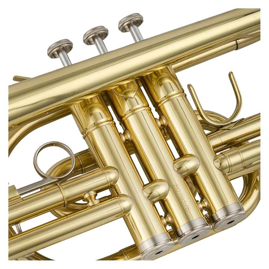 MTG ペインランド12枚セット 真鍮の都など トランペット本体 ゴールド 真鍮製 楽天市場】真鍮の管楽器