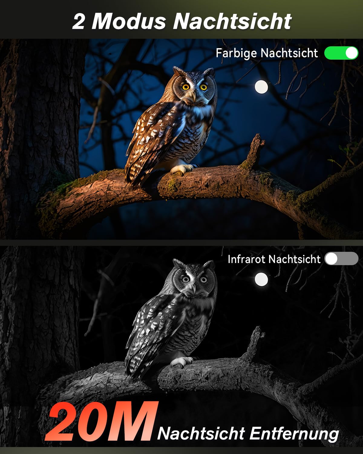 Xega 4G LTE Ohne WLAN Wildkamera Solar 2K PTZ Wildtierkamera mit SIM-Karte | Überwachungskamera Aussen Akku mit Farbnachtsicht, Live-Streaming Kein WLAN, PIR Erkennung, IP65 Wasserdicht, Cloud/TF