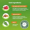 Himalayan Botanique Anti-Plaque Complete Care Toothpaste 75ml | Ecocert Cosmos Certified | Organic Active, Mint Flavored | Does not contain fluoride and gluten