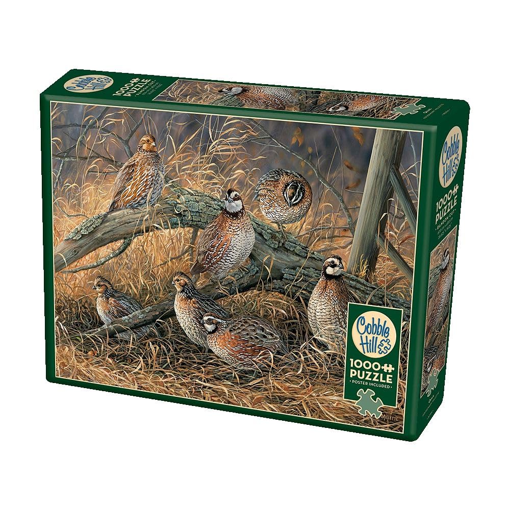 Amazon.co.jp: 1000ピース Cobble Hill ジグソーパズル Quail 80194
