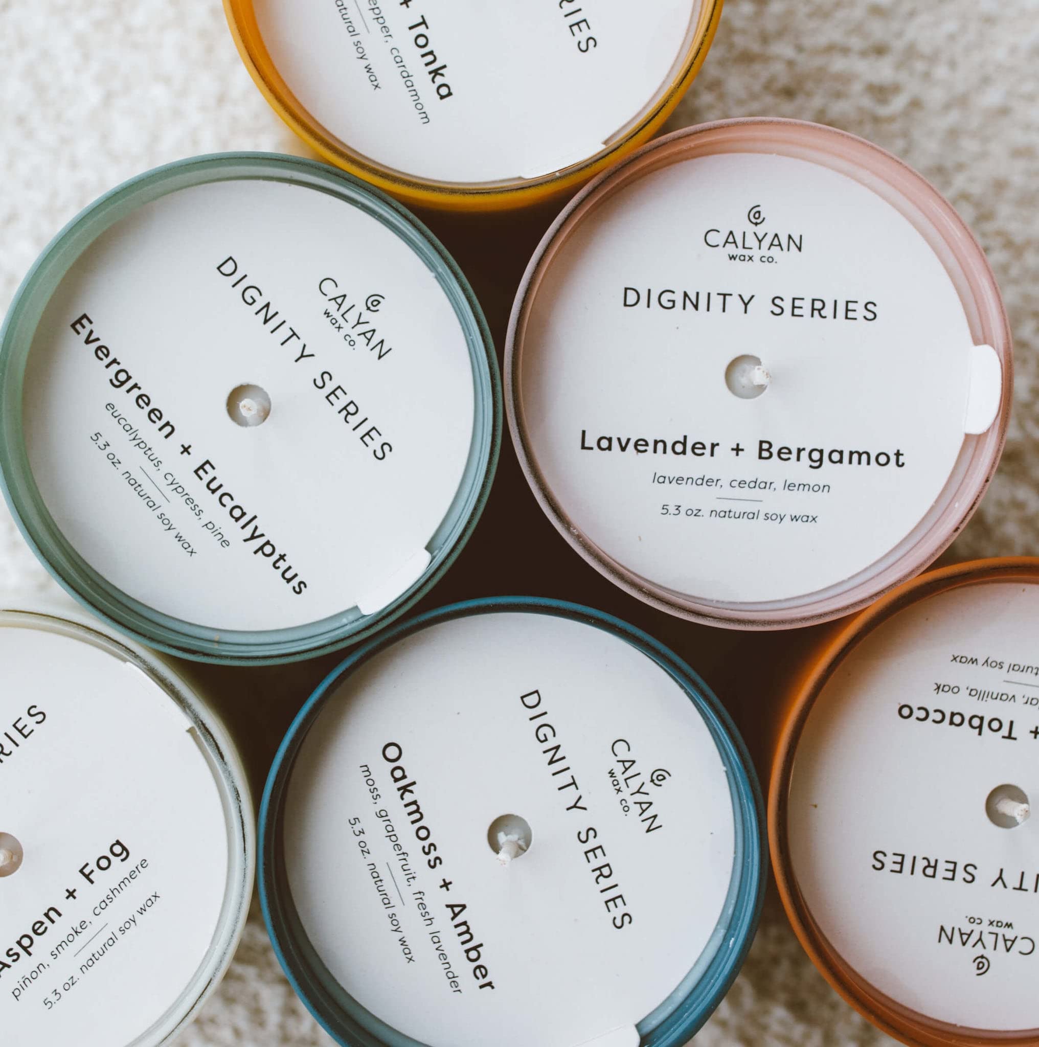 Calyan Wax Co. The Dignity Series - Juego de 6 velas perfumadas de primera calidad para el hogar en tarros de vidrio coloridos, 100% cera de soja, 7 onzas cada una, juego de velas de regalo para mujer
