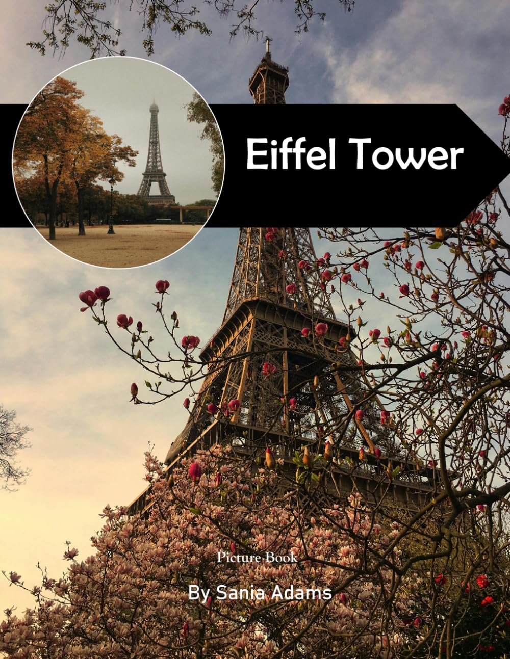 Eiffel Tower: A Perfect Coffee Table Picture Book – Travel and Tourism Lovers