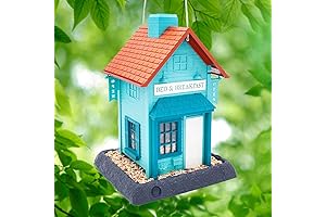 North States Village Teal Bird Feeder: Provide a Safe Haven for Your Feathered Friends