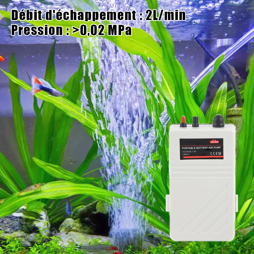 Tiiyee Pompe à Air D'aquarium, Pomper Oxygène Silencieuse Piles avec Pierre | Tube De Pêche En Plein Portable Mini Multifonctionnelle Accessoire Pêcheur Bulleur Aquarium Silencieux pour Bac Poissons