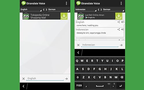 Gtranslate voice
