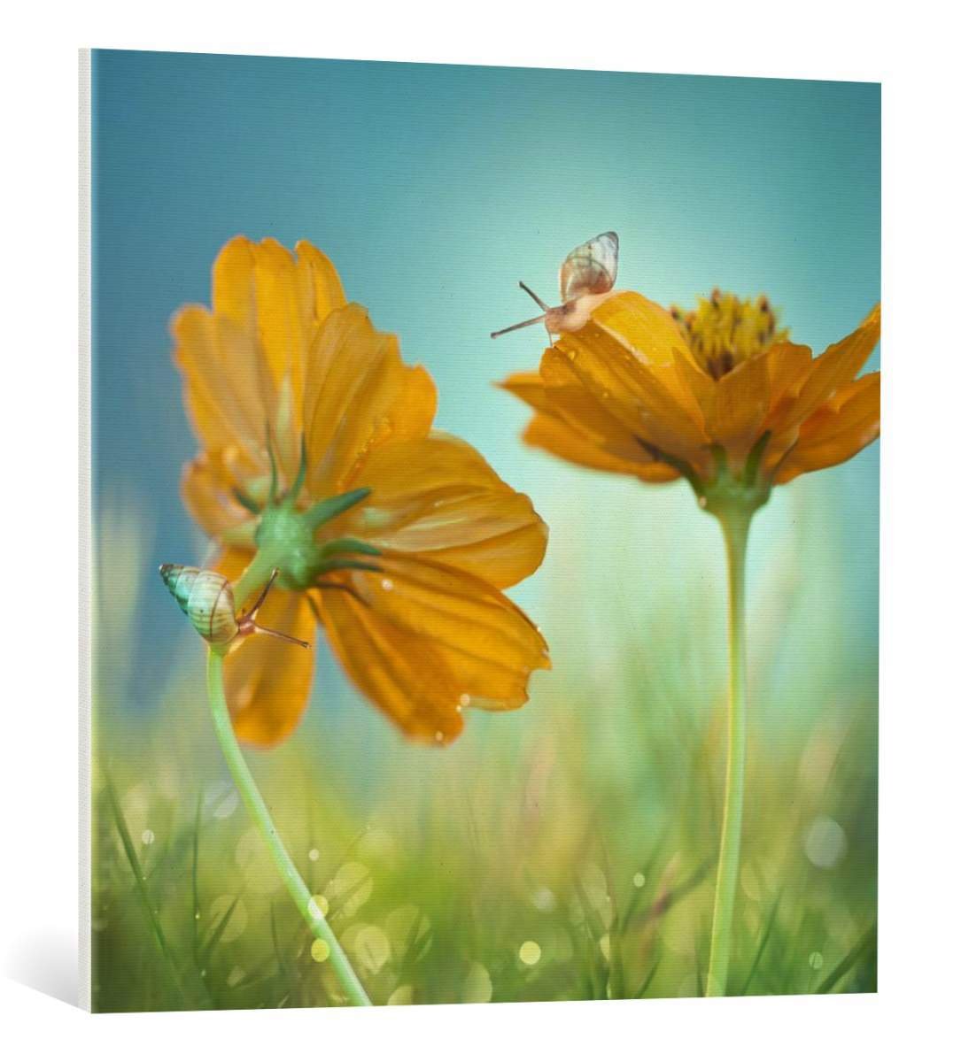 Kunst für Alle Canvas Print: Peiling Lee play time Fine Art Print, Canvas on Stretcher, ready to hang Wall Picture, 31.5x31.5 inch / 80x80 cm