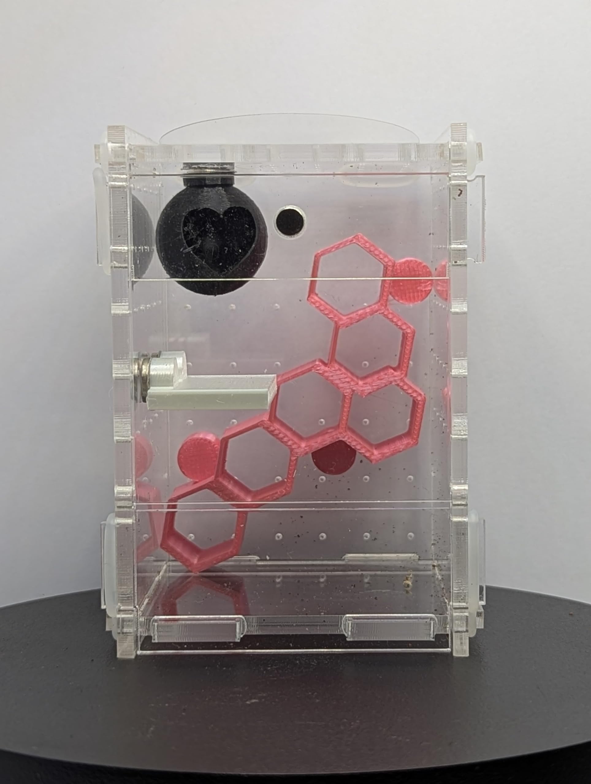 Jumping Spider Enclosure Full Setup with Decor included! Suitable for slings, pet spider, front opening, very secure 6cm X 6cm X 9cm Kit 360 Viewing (Gold) — view 9