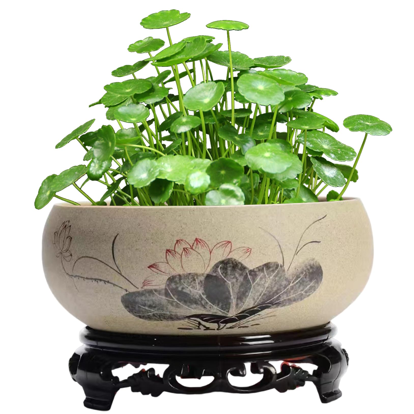 Jardinière bol de lotus hydroponique pour éviter les fuites d'eau des plantes de table