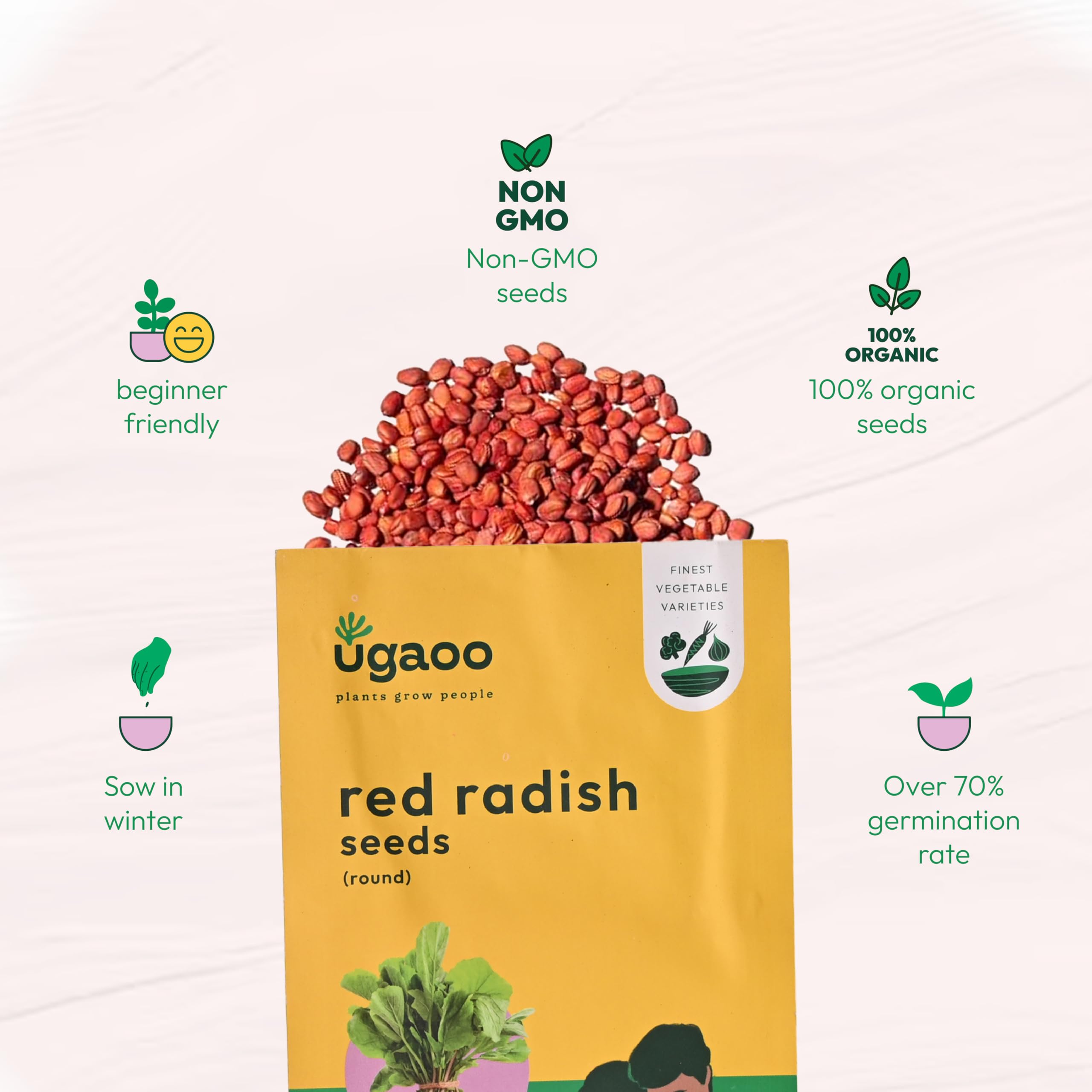 Red Radish Seeds - Grow Your Own! -5