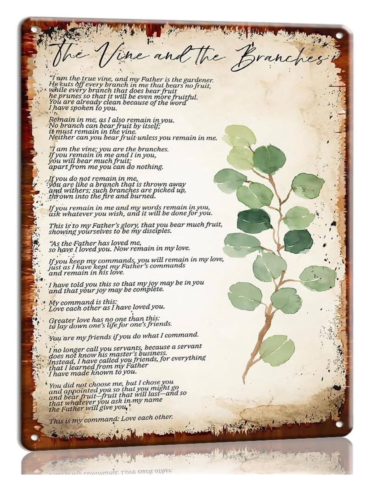 VWWJCCRO The Vine and The Branches Metal Tin Sign I Am The True Vine John 15 Scripture Wall Decor for Bedroom Church 8 X 12 in