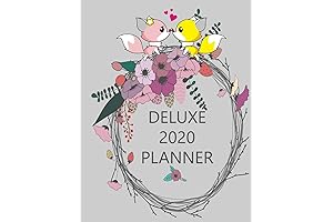 Cambridge 2020 Weekly & Monthly Planner