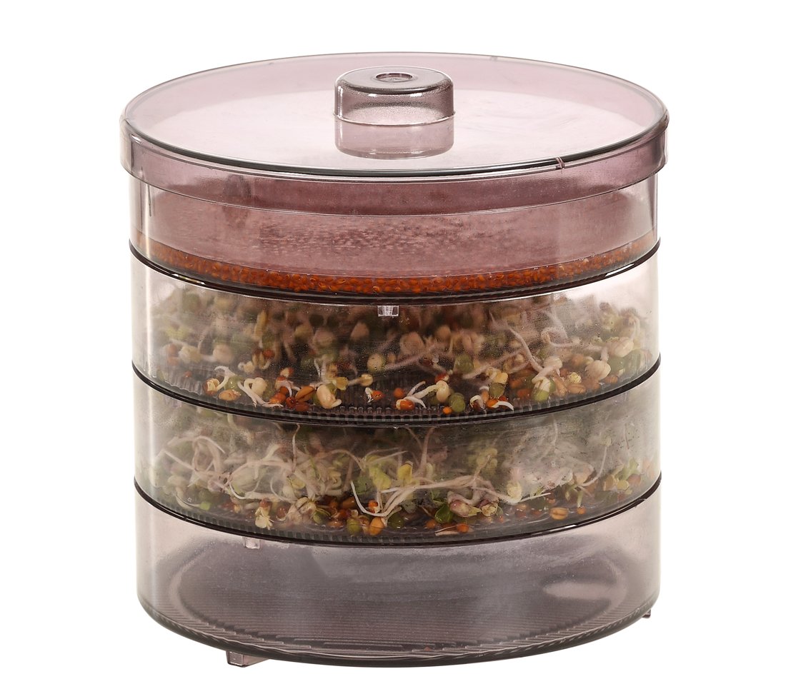 Dehner Sprossenhaus, para el cultivo de brotes de gérmenes, con 4 cuencos.