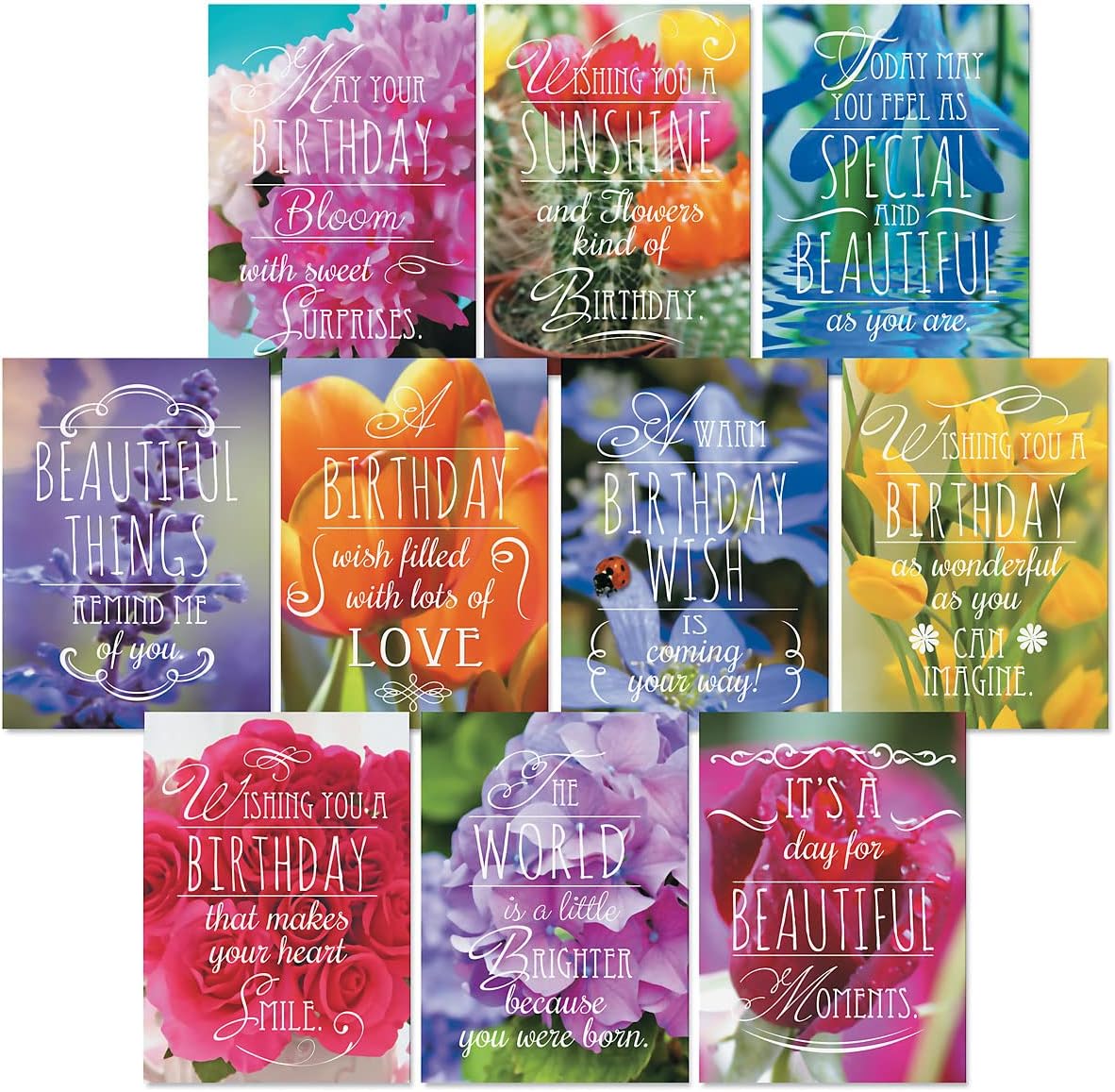 Current Floral Birthday Greeting Cards Value Pack Set of
