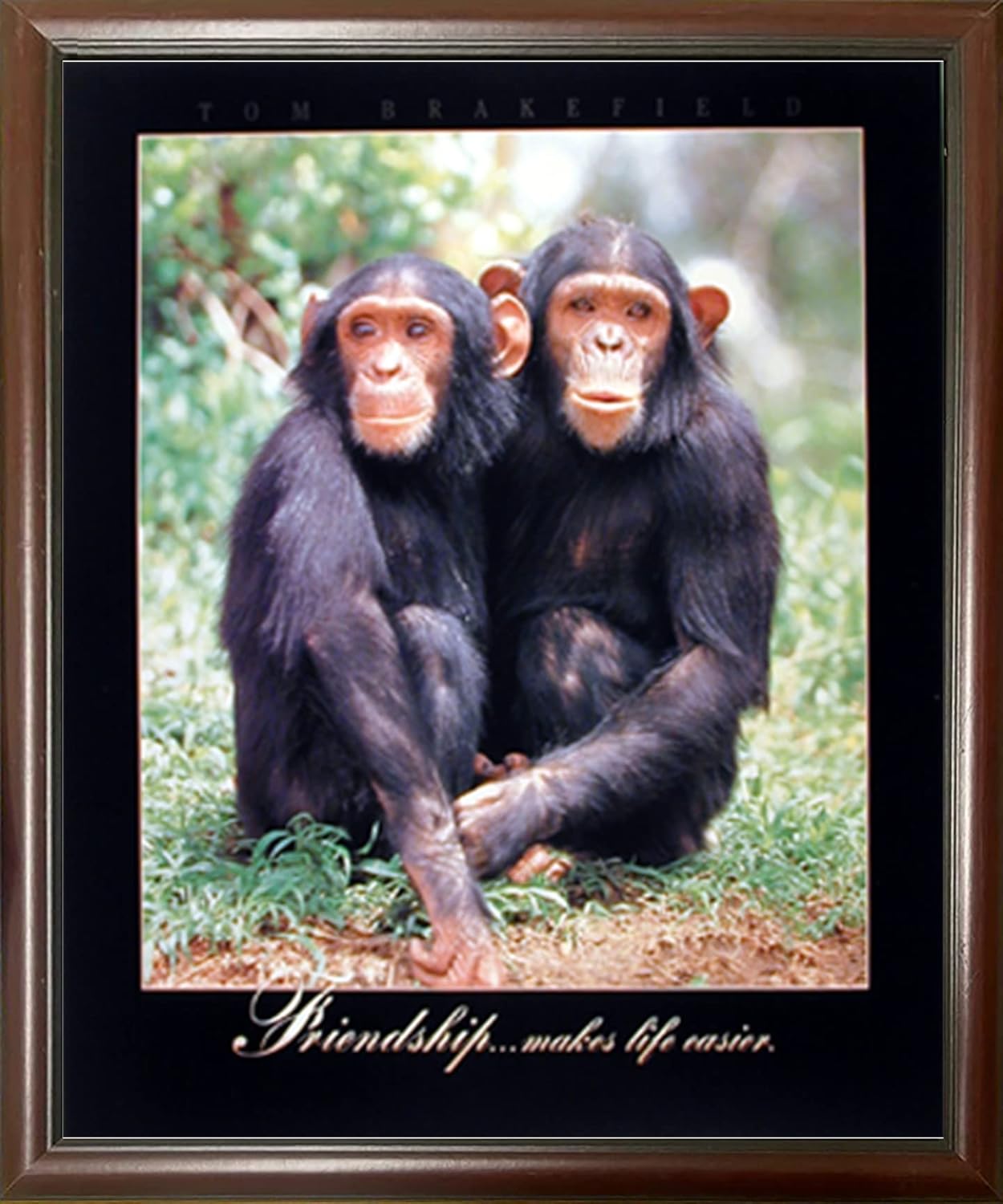 Framed Wall Decoration Cute Funny Chimpanzee