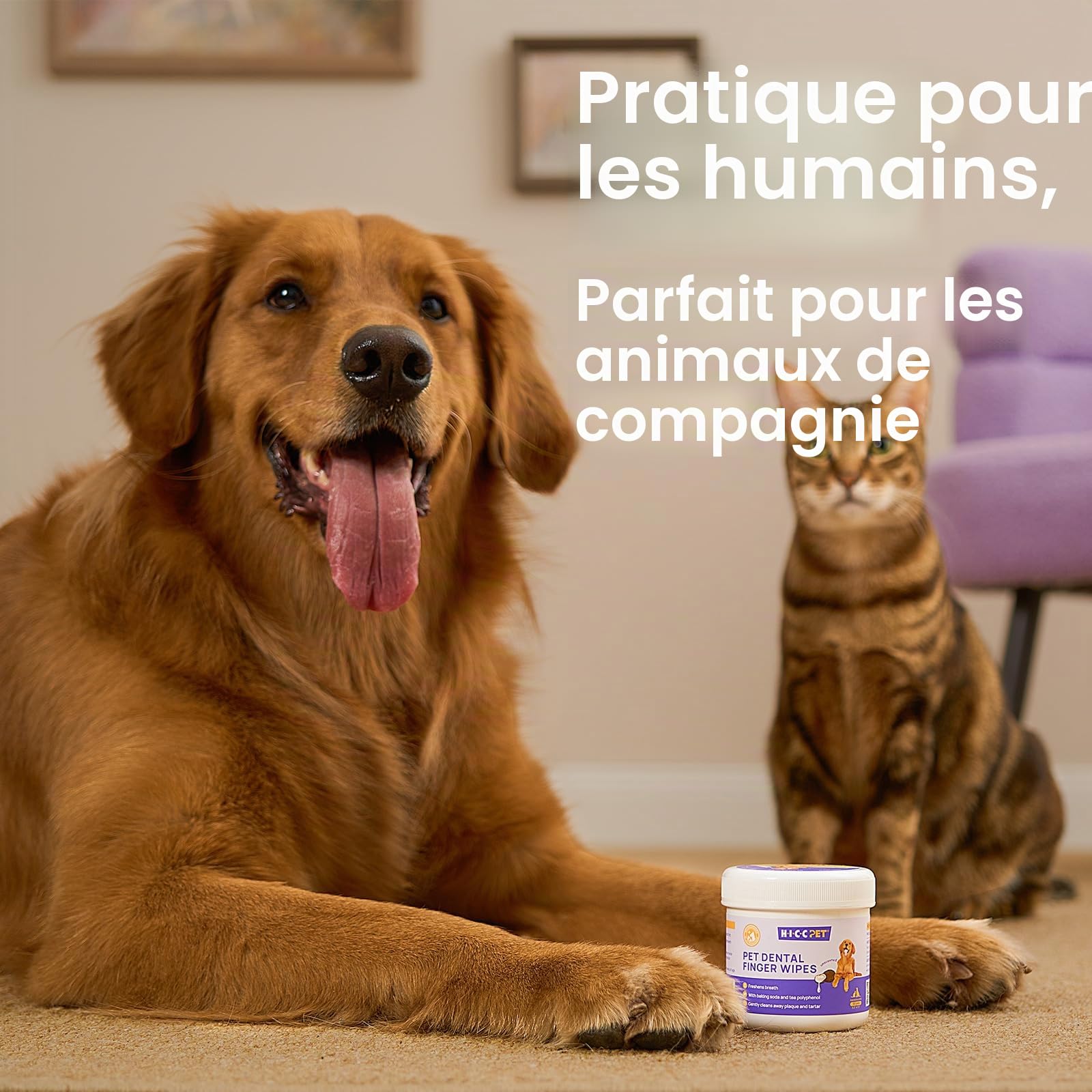 HICC PET Serviettes de nettoyage des dents pour chiens et chats, Enlevez la mauvaise haleine en enlevant la plaque et le tartre accumulé Brosse à dents à doigts de chien sans rinçage (Minte)