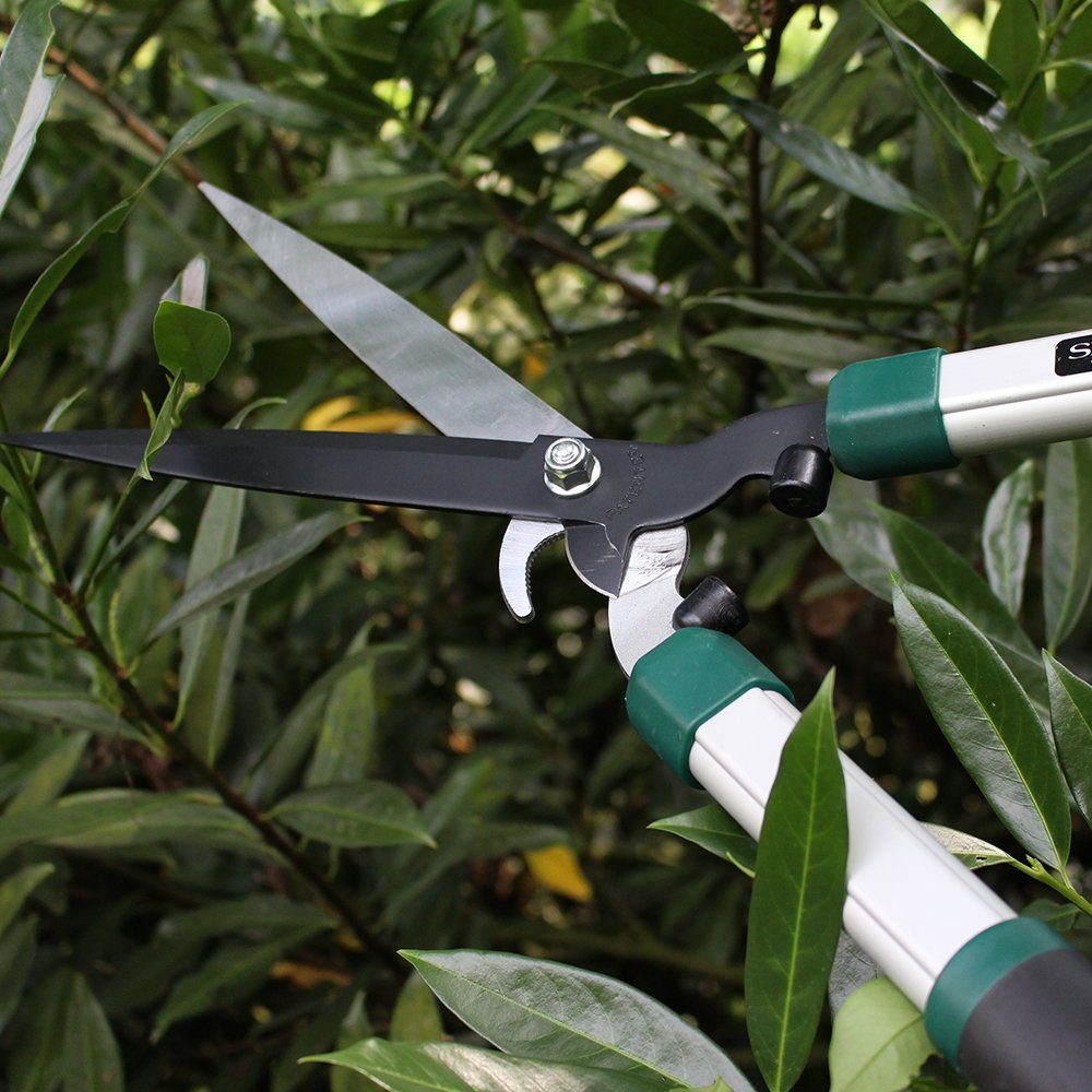 Siena Garden 358332 - Tijera de Podar, Podadora de Mano, Herramienta Manual de Jardinería