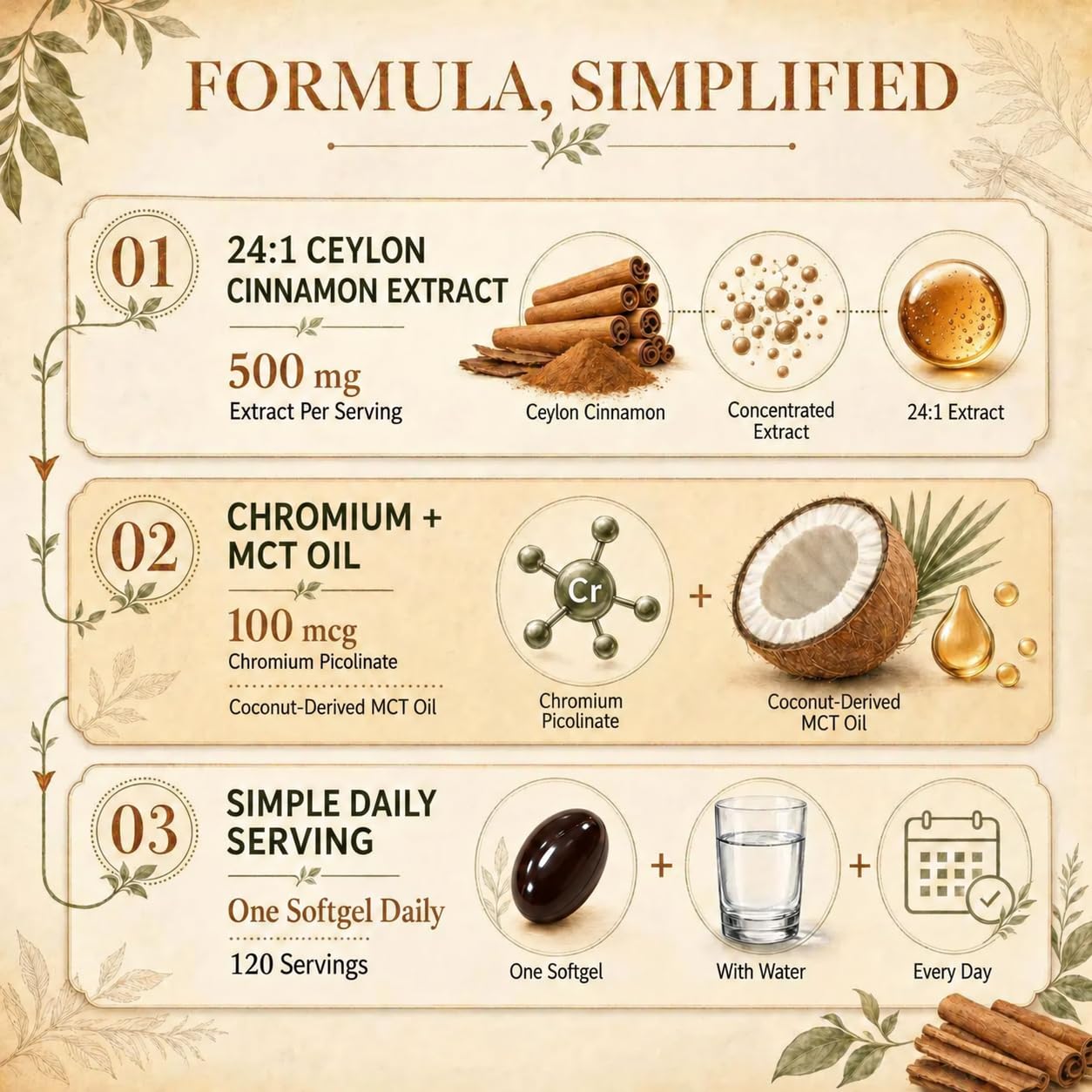 3-in-1 Organic Ceylon Cinnamon Supplement 24:1 Extract with MCT Oil 120 day — Amazon image 5