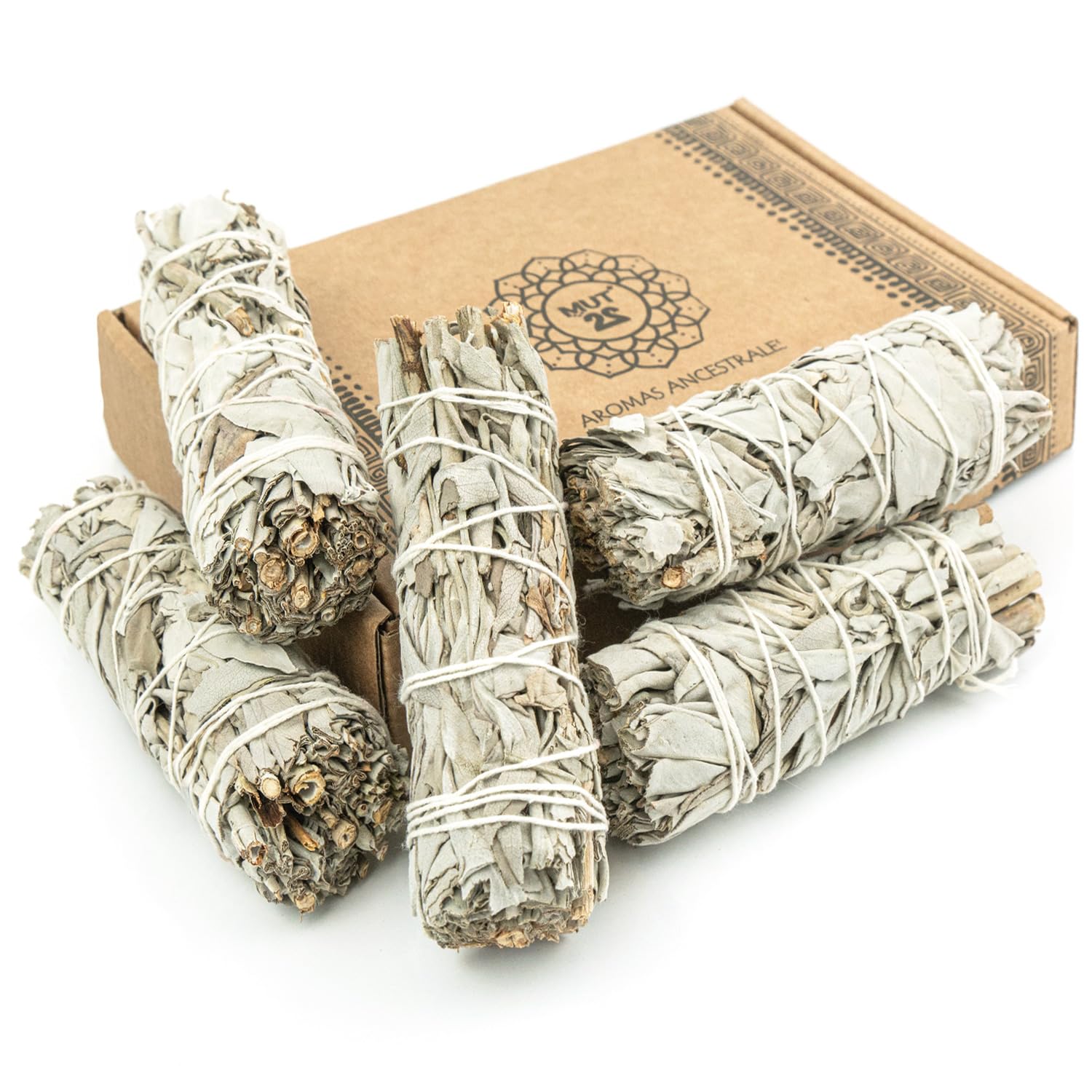 Sauge Blanche 10 cm Purification à Bruler Premium – 100% Naturelle pour Rituels Énergétiques et Harmonisation