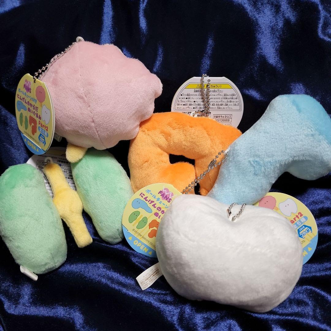 Amazon.co.jp: にんげんのからだぬいぐるみ 2 全5種 セット : おもちゃ