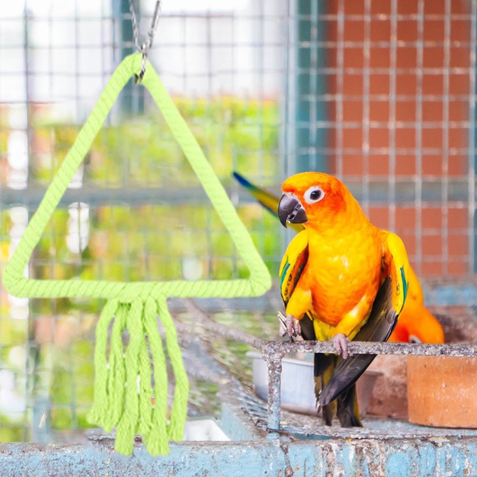 Amazon | インコ用バードスイング、スイングバードパーチ | 咀嚼