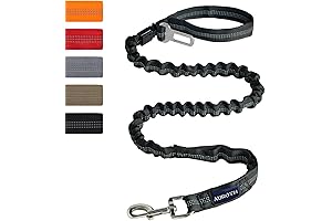 Thunder Leash: The No-Pull Solution for Large Dogs