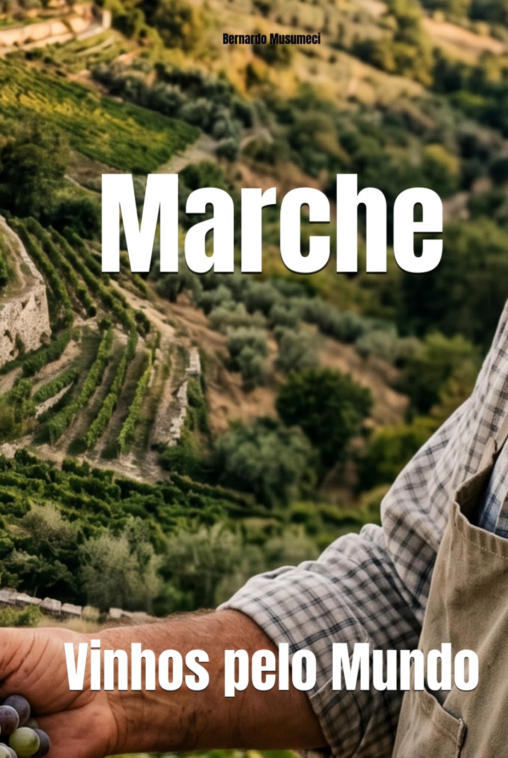 Marche: Vinhos pelo Mundo (Wines of the World: Italy)
