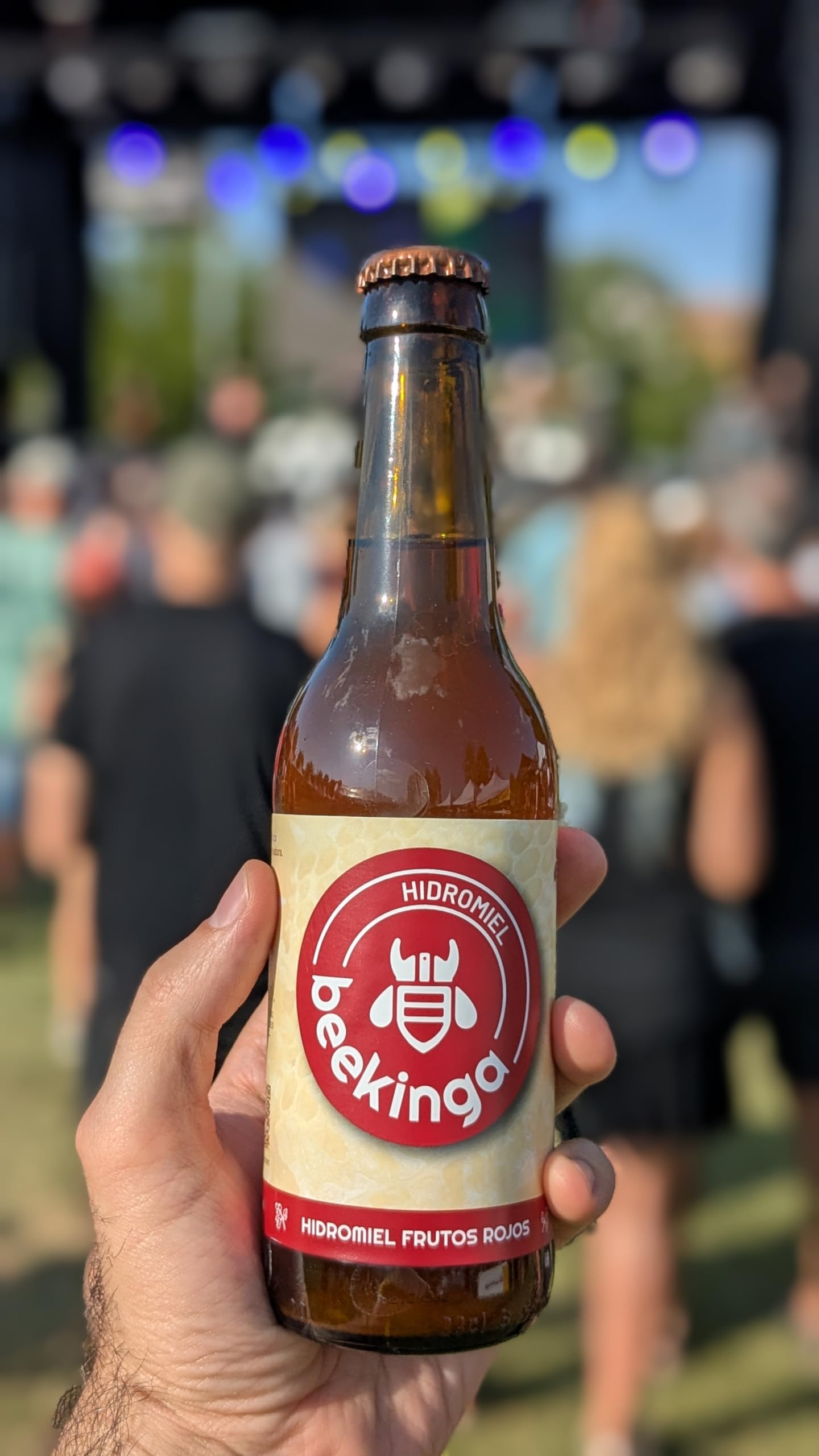 Beekinga Pack Degustación Hidromiel de 12 Botellines de 33cl con Hidromiel de Romero, Lavanda, Tostado y Frutos Rojos