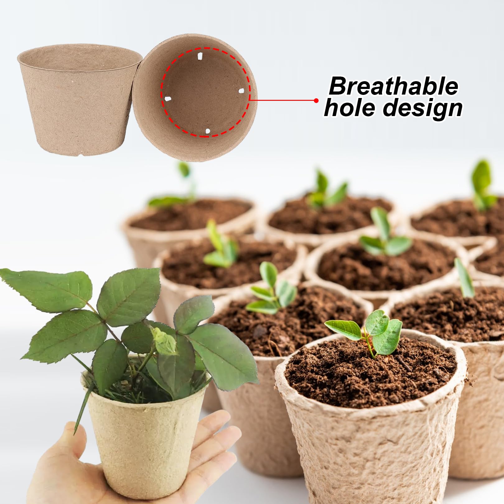Leaders Starter-Pots de tourbe bionickel ables, pots de plantation de semis avec étiquettes, pots de plantes avec dômes d'humidité  15