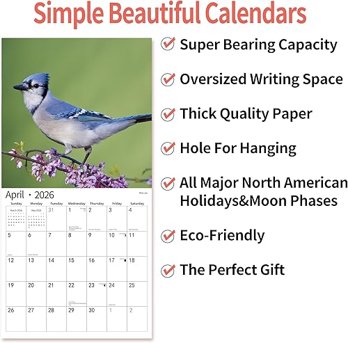 Miniatura 7 de Calendario de pared 2026, calendario 2026, noviembre de 2025 a diciembre de 2026, calendario de pared con pájaros cantores, 12 x 24 pulgadas
