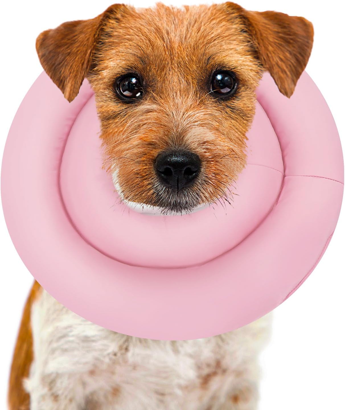 GoGoPaw Soft Dog Cone, Adjustable Dog Cones for Small