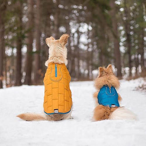 Miniatura 5 de Kurgo Loft - Chaqueta reversible para perro, para clima frío, resistente al agua con ribete reflectante, azulnaranja, talla XS