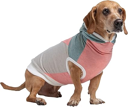 amazon dog apparel