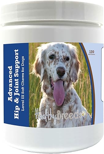 Healthy Breeds English Setter Advanced Hip & Joint Support Level III - Masticables suaves para perros, promueve una vida activa y cómoda con disponible en Yaxa El Salvador
