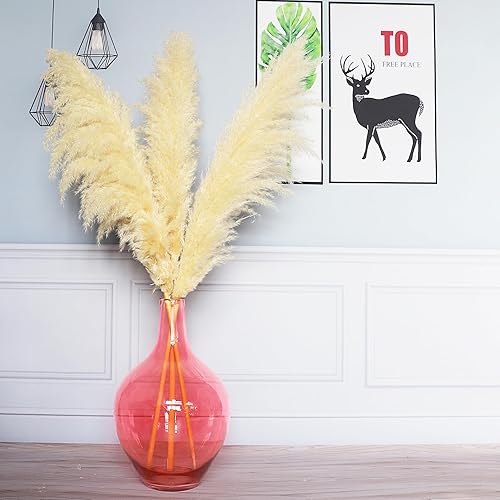 Miniatura 6 de Jarrón de vidrio extra grande de 20 pulgadas para hierba alta de las pampas, florero redondo grande para plantas de ramas altas, jarrón de globo