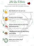 Ver la foto 2