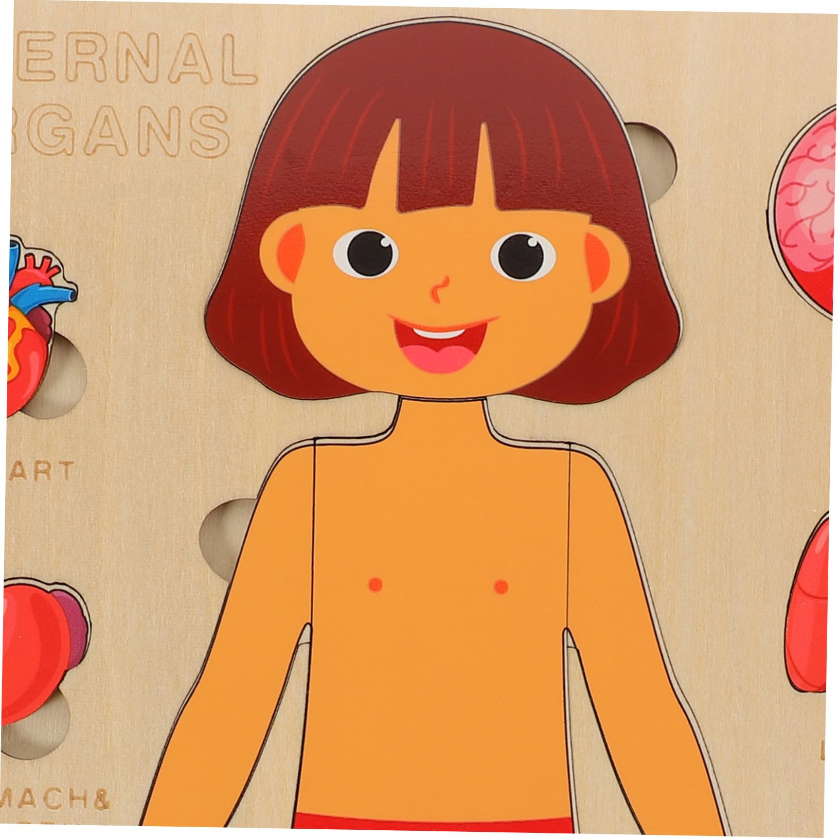Puzzle Anatomia Umana in Legno per Gioco Educativo Organi del Corpo Didattico per Ragazzo e Aiuto Insegnamento Scuola Sviluppo Coordinazione e Memoria