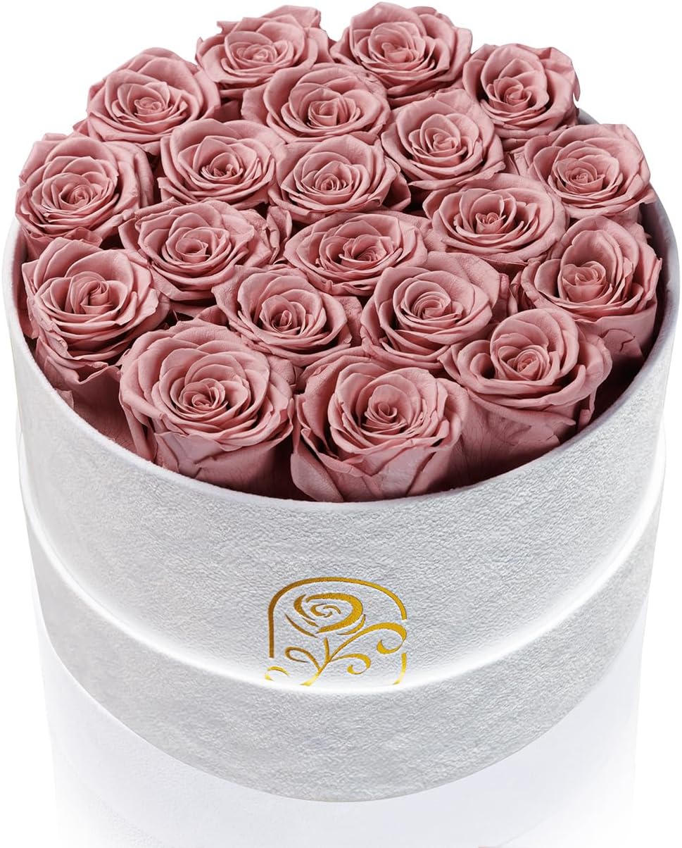 Gifts for Women Preserved Roses Flower Box, Luxury Velvet Box with 20 Roses, Preserved Flowers, Romantic Gift for Her, Wife, Girlfriend, Birthday Anniversary Christmas (Dusty Pink)