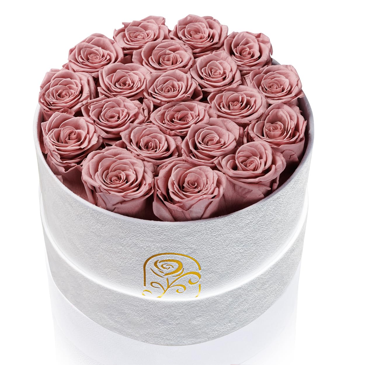 Rosemoir 20 Rose Velvet Box