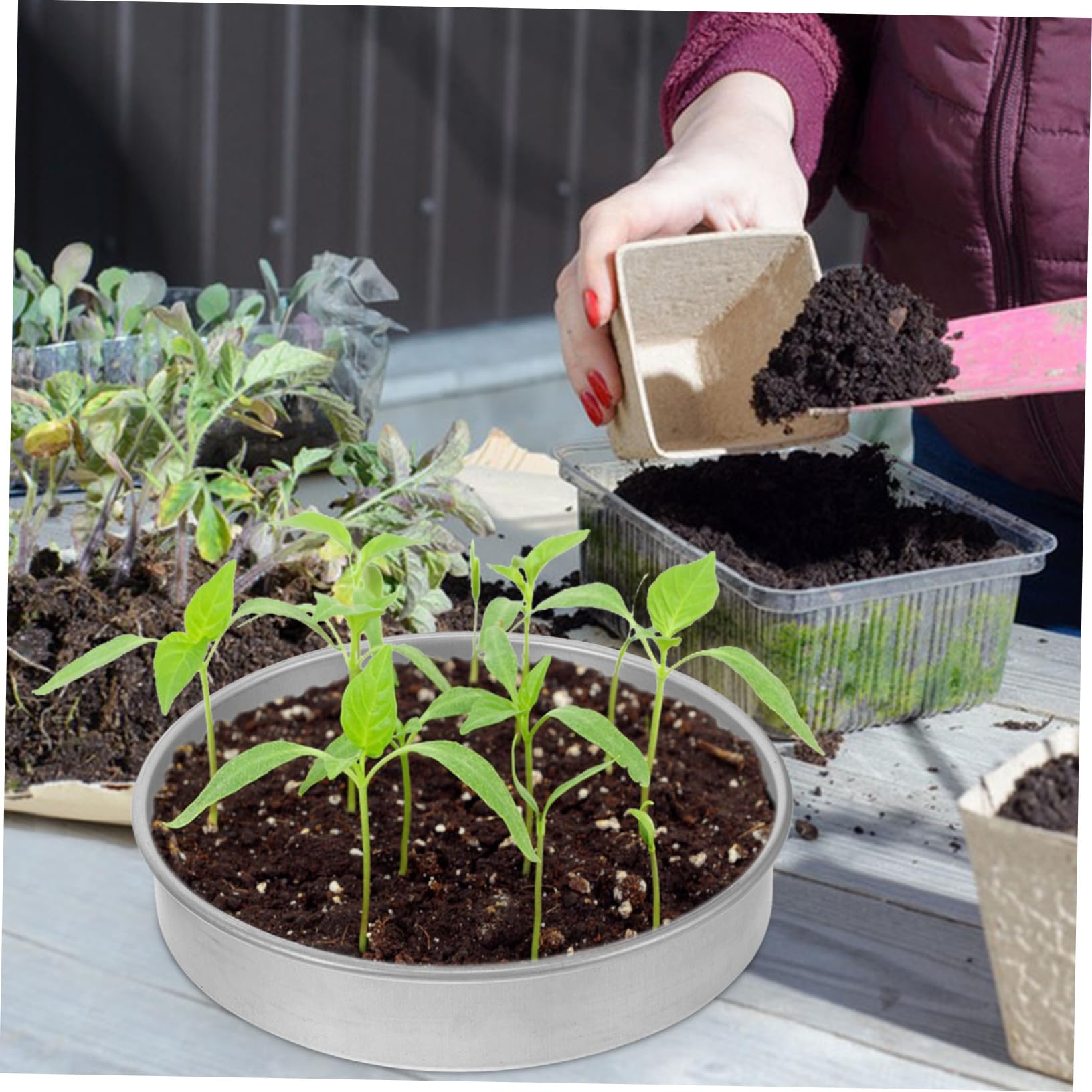 Sosoport Edelstahl Keimschale Für Garten Anzuchtschale Mit Optimaler Nährraum Für Pflanzen Robuste Und Langlebige Startschale Für Gartenliebhaber