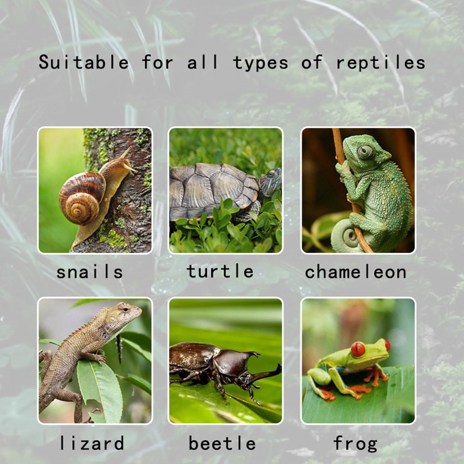 希少 初版 恐怖のネット怪談 ホラージャパネスク叢書