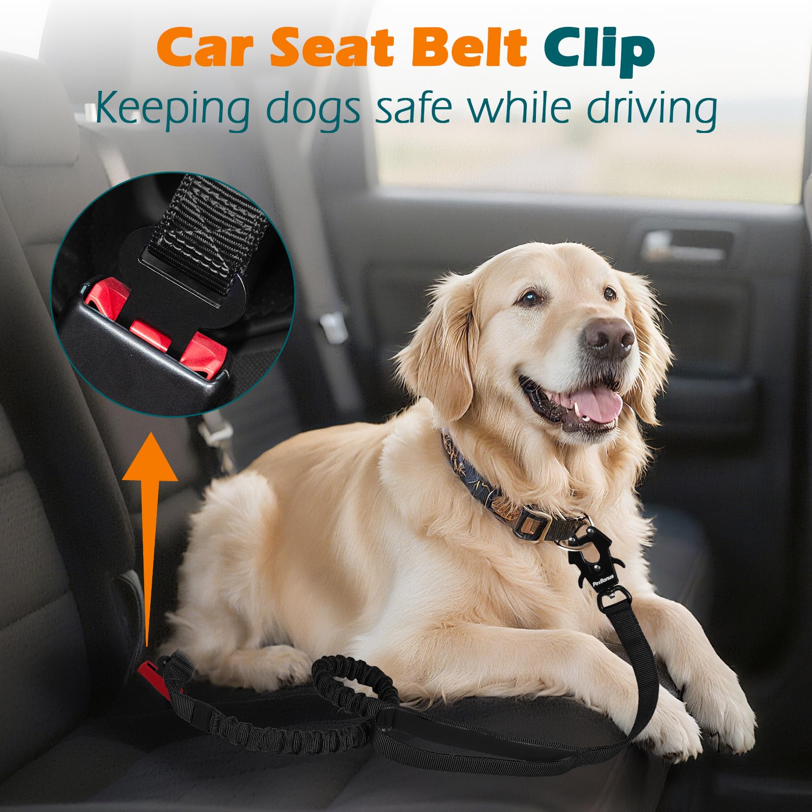 PetBonus Laisse Tactique 1,5m, Bungee Laisse de Chien avec 2 Poignées Rembourrées, Ceinture Sécurité Voiture, Anti Tirage Chiens Moyennes et Grandes Tailles (Noir)