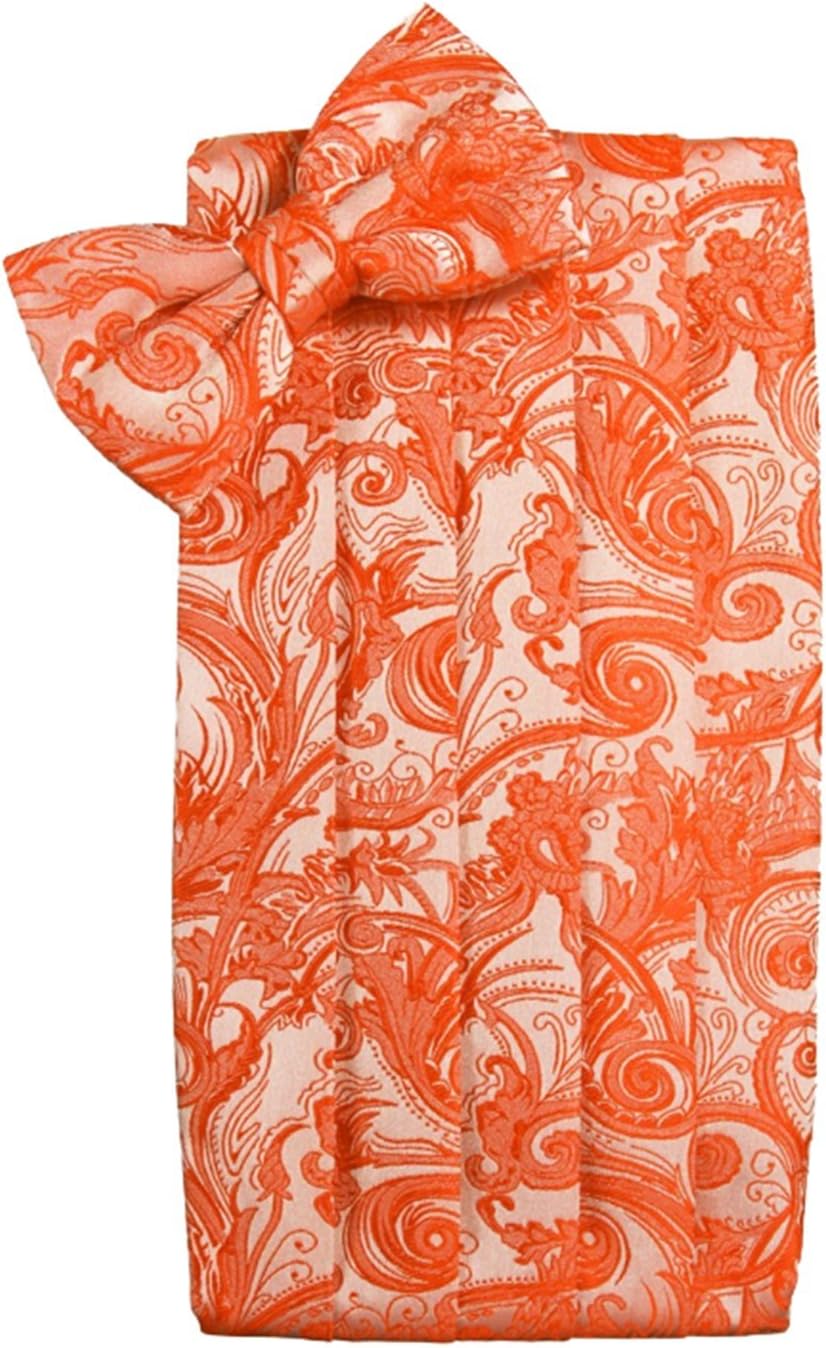 Cardi Men's Tapestry Paisley Bowtie and Cummerbund Set, Persimmon