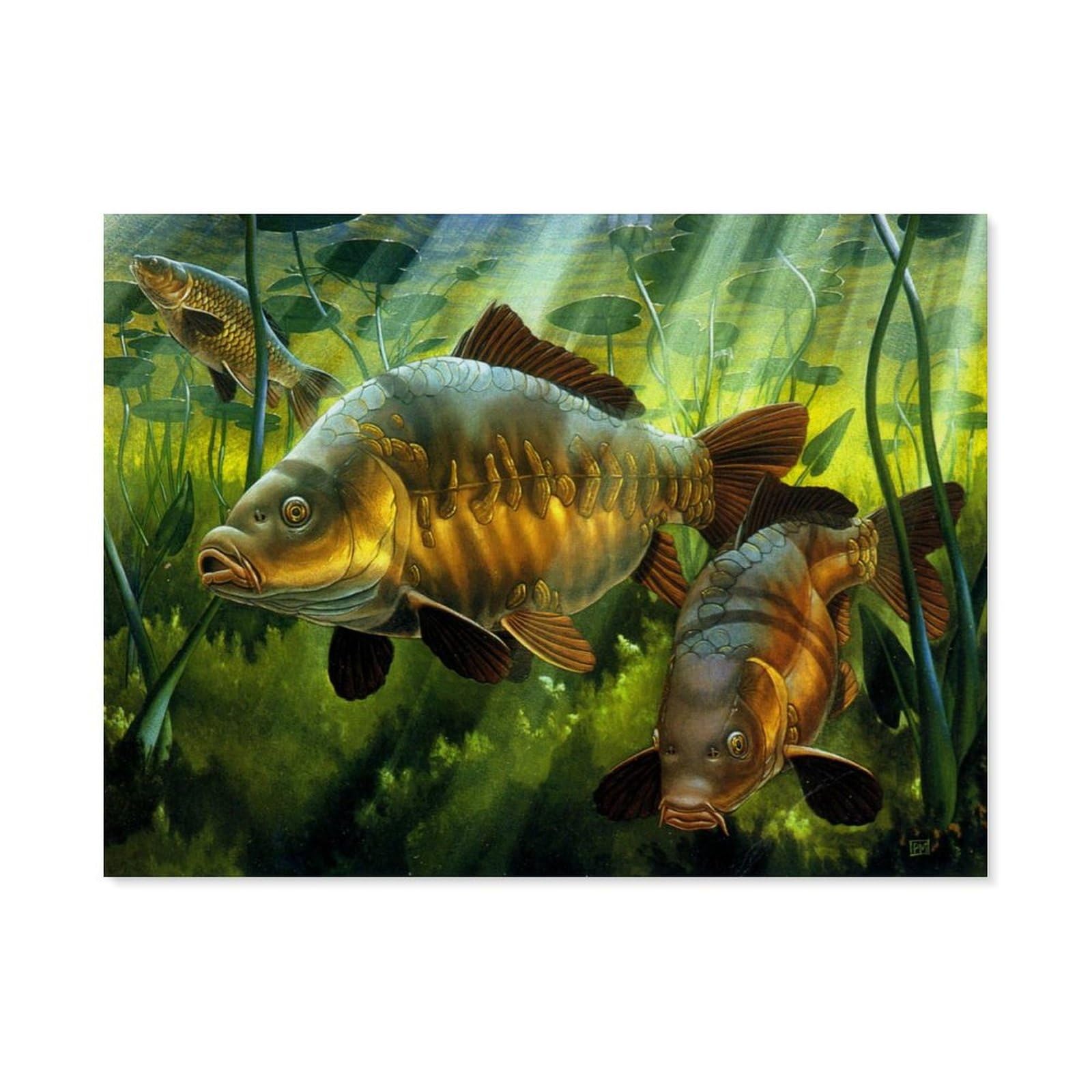 Beayodkp A1 Paint By Numbers For Adults Beginner，Carp Fishing，Diy Oil Painting Kit On Canvas With Paintbrushes And Acrylic Pigment, Arts Craft For Home Wall Decor(50X60cm) 19.6X23.6 Inches-A6