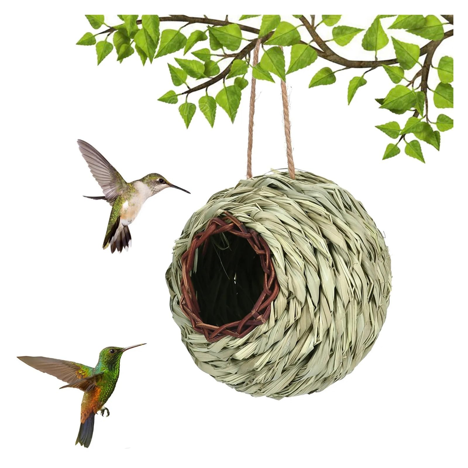 Nistkasten Transparentes Design Sittich Nymphensittich Vogelhaus Nest Sittich Nistkasten Vogelzubehör