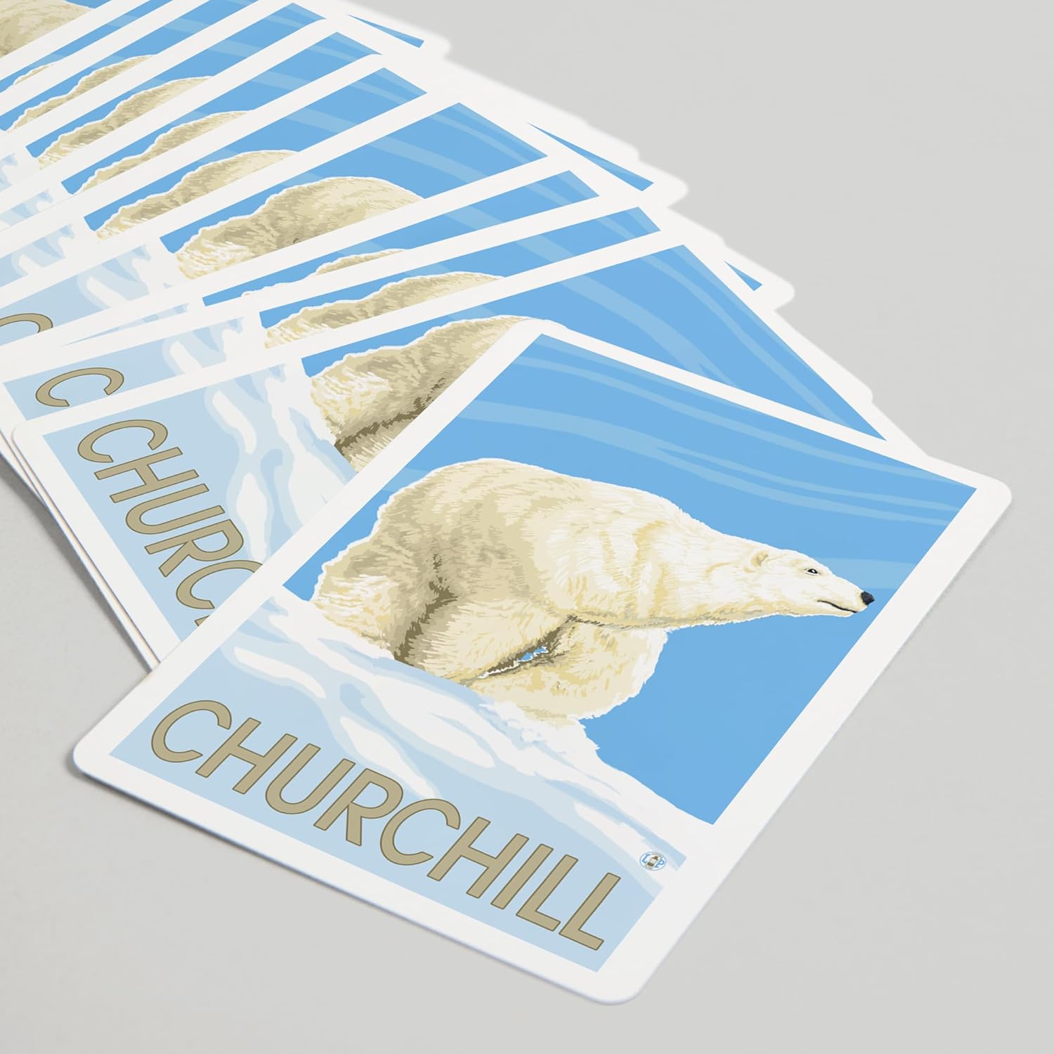 Lantern Press Churchill, Canada, Polar Bear (Front), 52 Playing Cards for Adults, Poker Size Card Deck