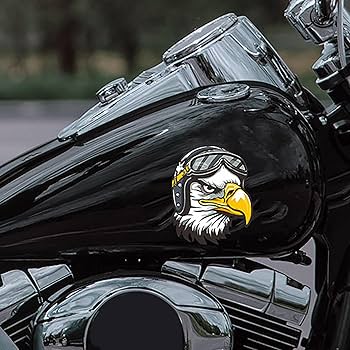 71WZ5agM6UL._AC_UF350, 71WZ5agM6UL._AC_UF350,