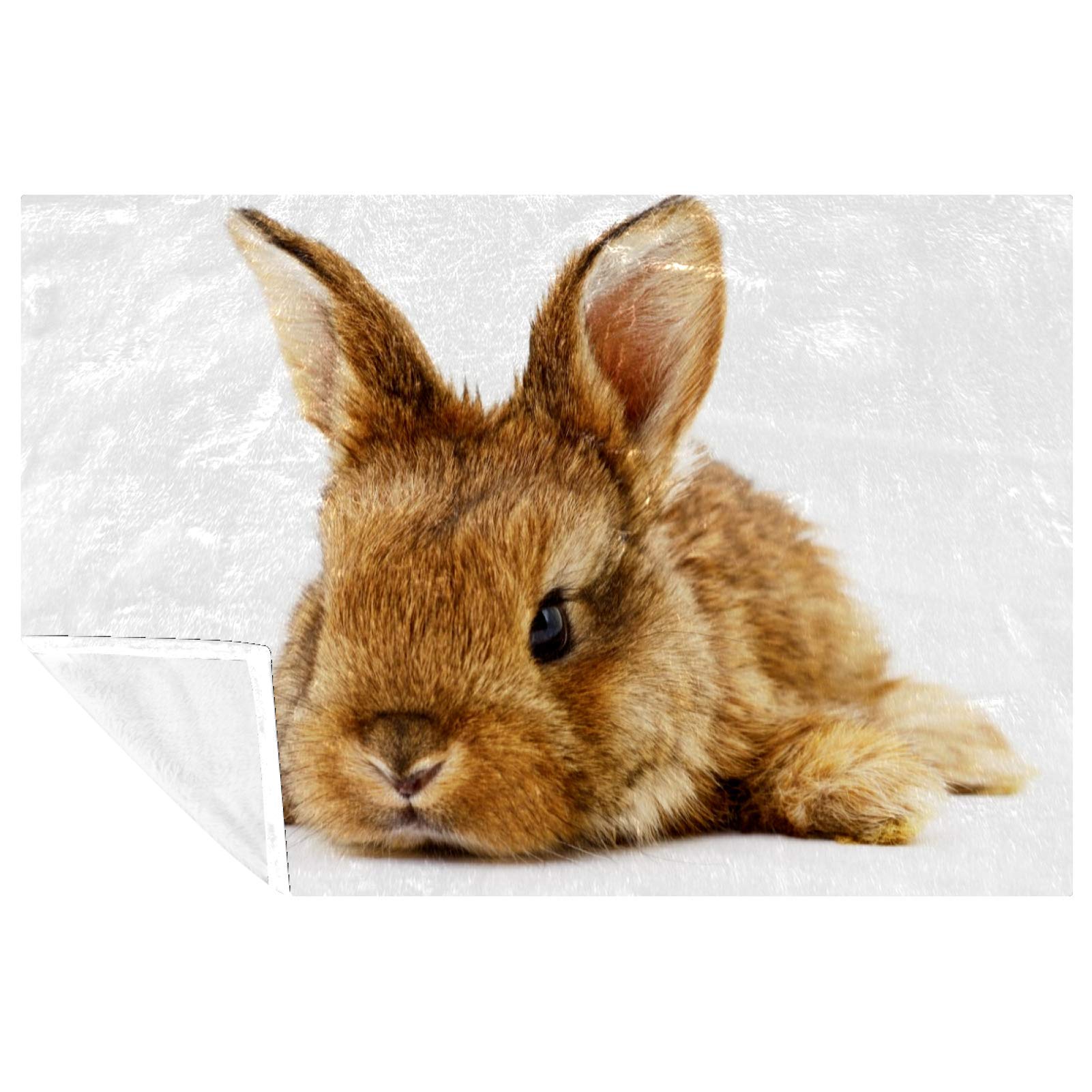Couverture chaude plaid lit canapé camping imprimé lapin marron 150x100