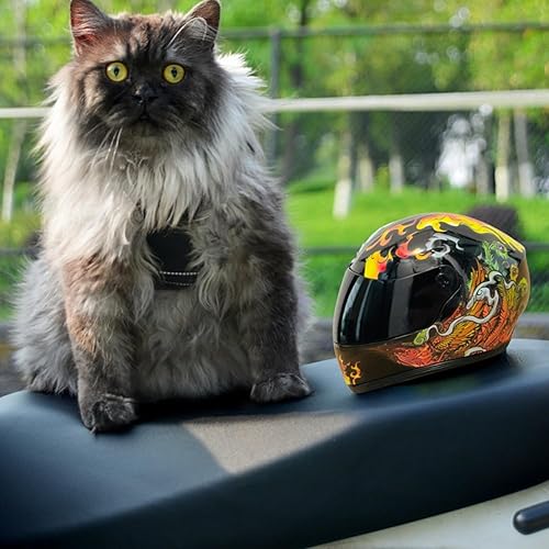 Miniatura 6 de Casco completo de motocicleta para gatos, casco de equitación al aire libre, para gato, perro, perrito, cachorro, gatito, suministros para mascotas,